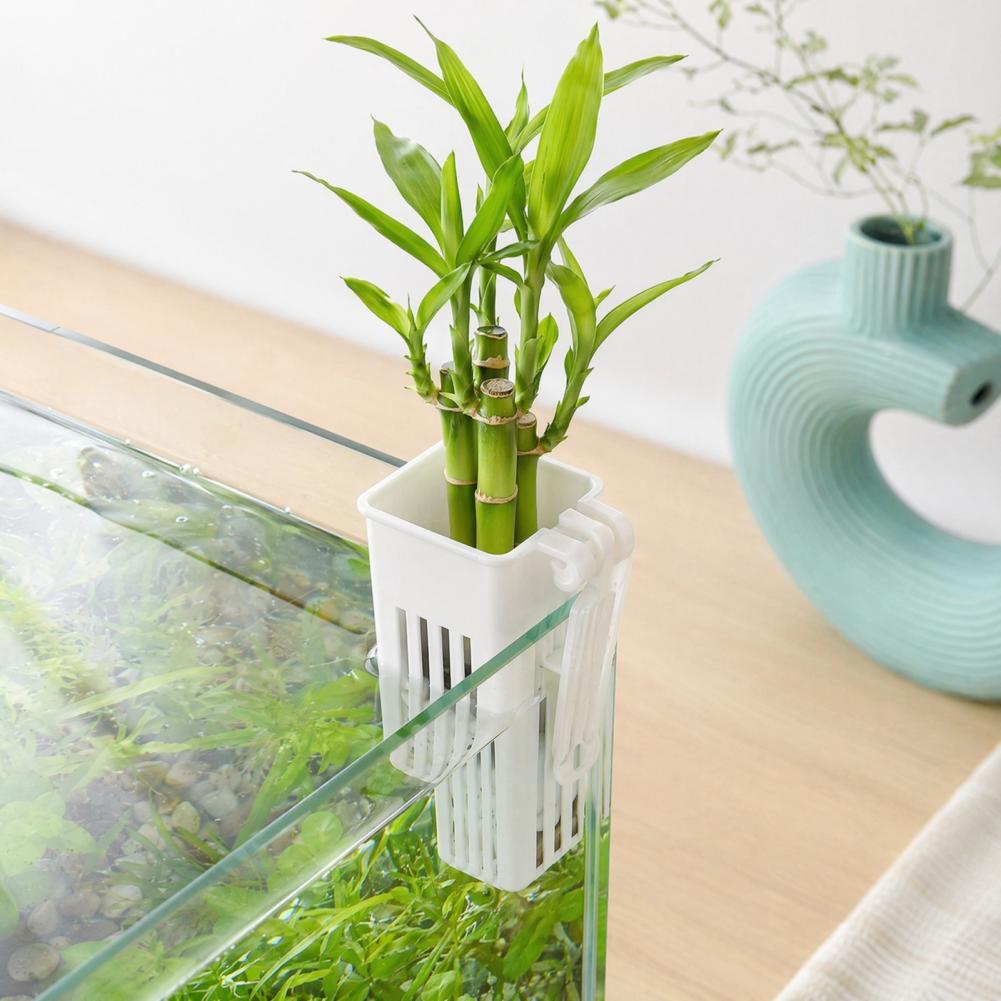 Tank Plant Container Hydroponi - Aquarium Planted Wall review and price