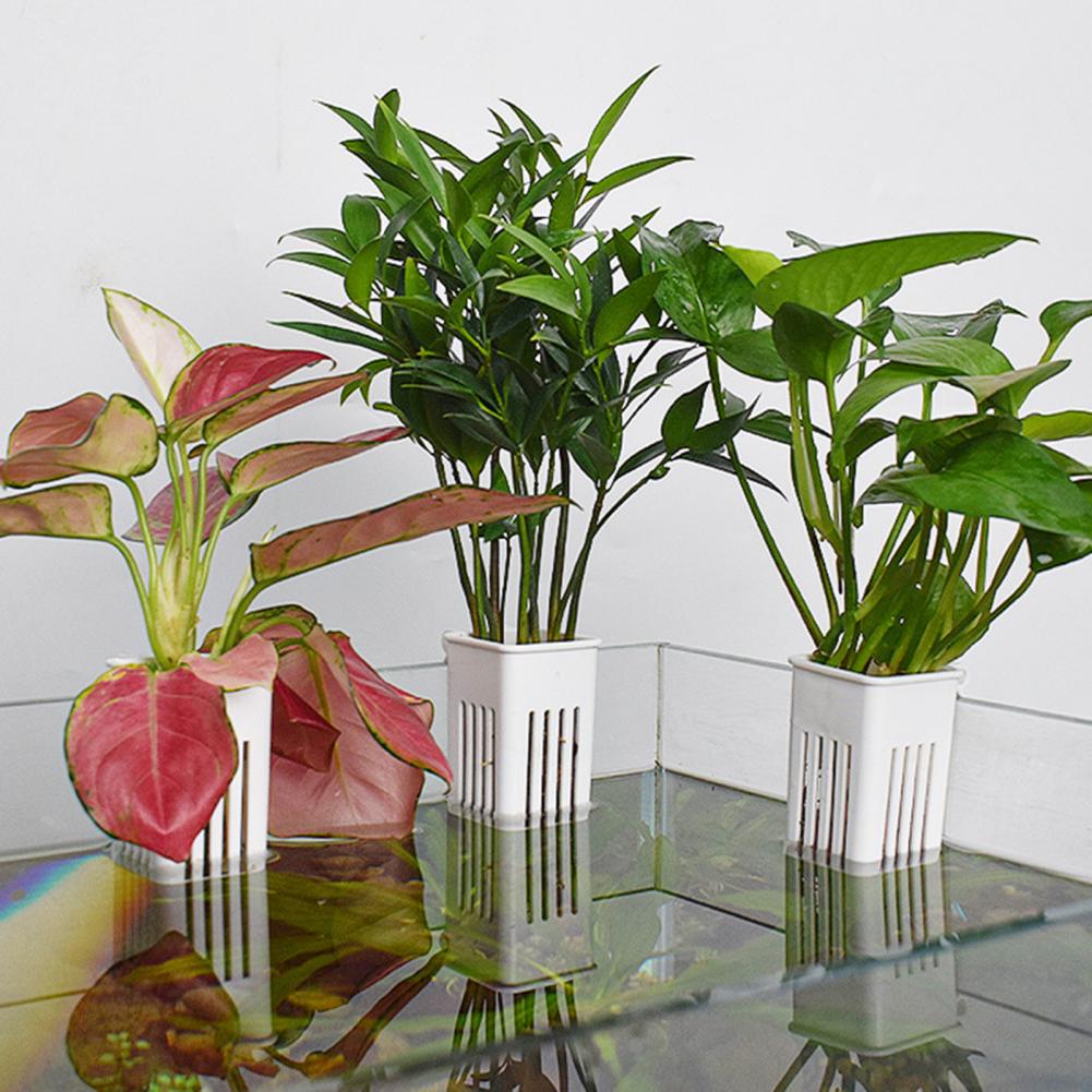 Tank Plant Container Hydroponi - Aquarium Planted Wall review and price