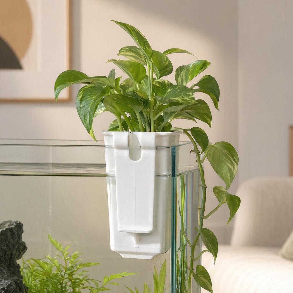 Tank Plant Container Hydroponi - Aquarium Planted Wall review and price