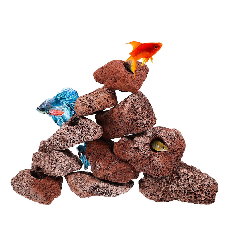 Open Hole Rock Fish Shrimp She - Planted Aquarium With Rocks review and price