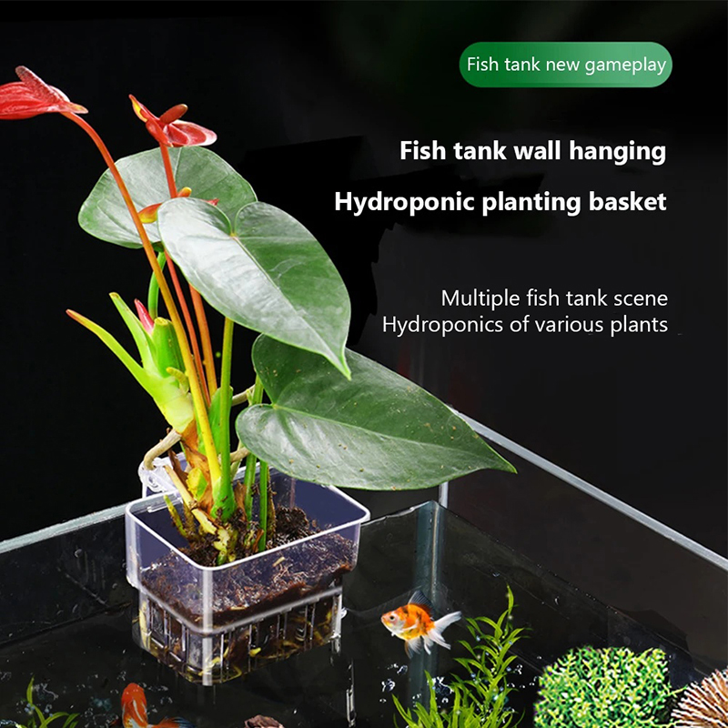 New【Hanging Aquarium Planter C - Aquarium Planted Wall review and price