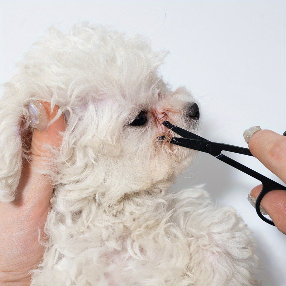 Pet Facial Cleaning Comb Set R - Trimming Scissor Set review and price
