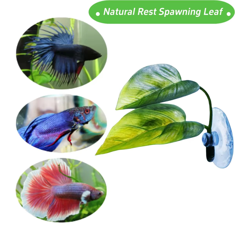 Aquarium Pet Supplies Decorati - Aquarium Planted Fish review and price