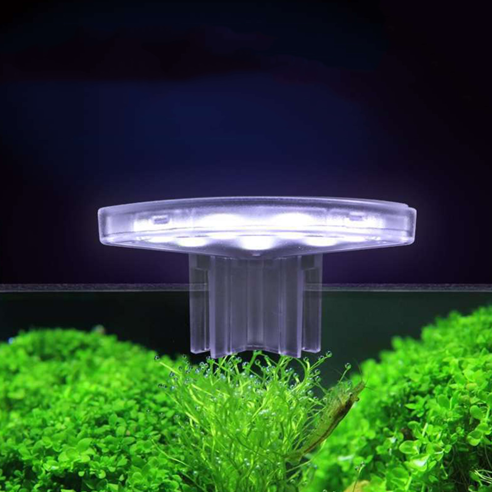 LED Plants Grow Lamp Energy-Ef - Aquarium Plant Easy To Grow review and price