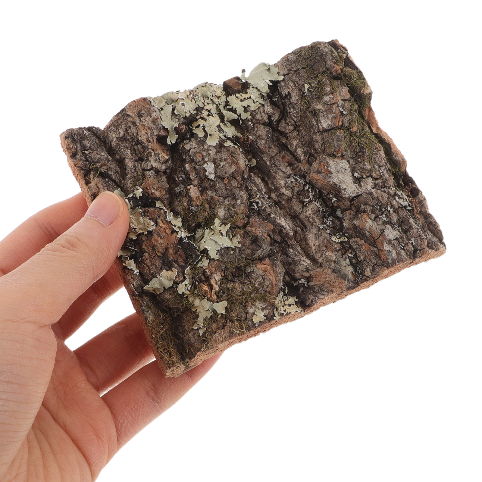Cork Bark Tree Bark for Reptil - Aquarium Planted Wall review and price