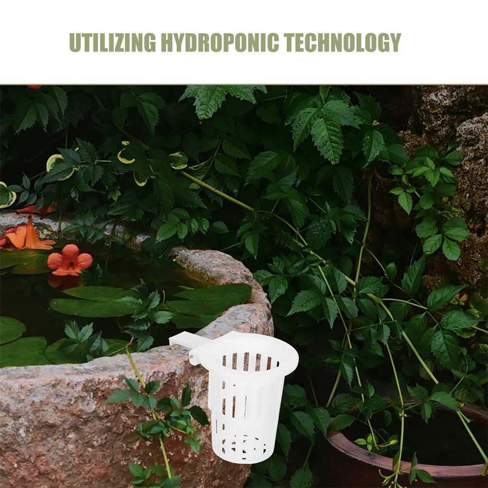 4Pcs Hydroponic Wall Mounted H - Aquarium Planted Wall review and price