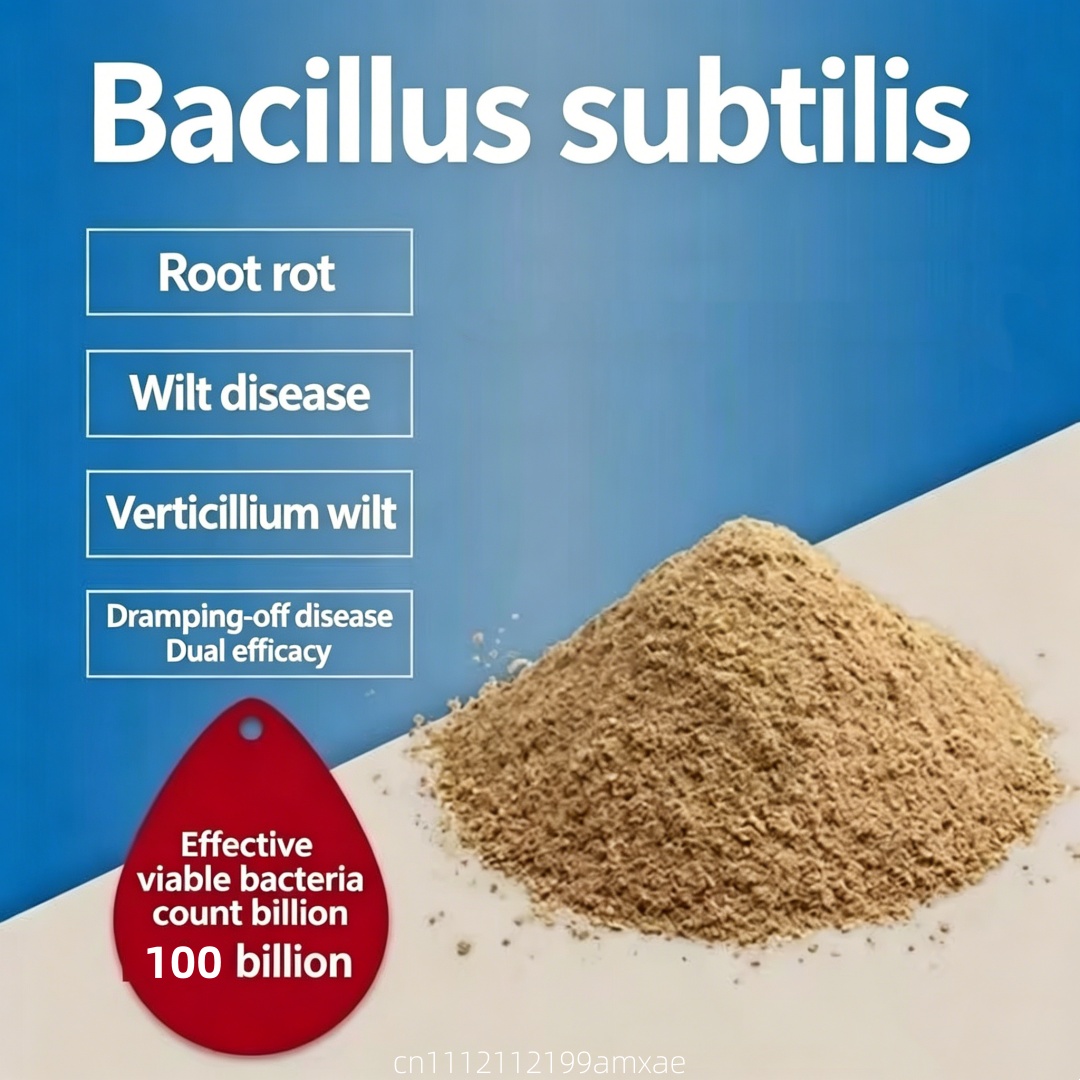 High Activity Bacillus Subtili - Aquarium Plant Roots review and price