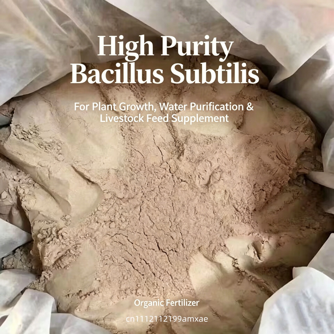High Activity Bacillus Subtili - Aquarium Plant Roots review and price