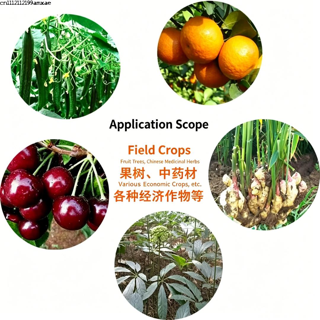 High Activity Bacillus Subtili - Aquarium Plant Roots review and price