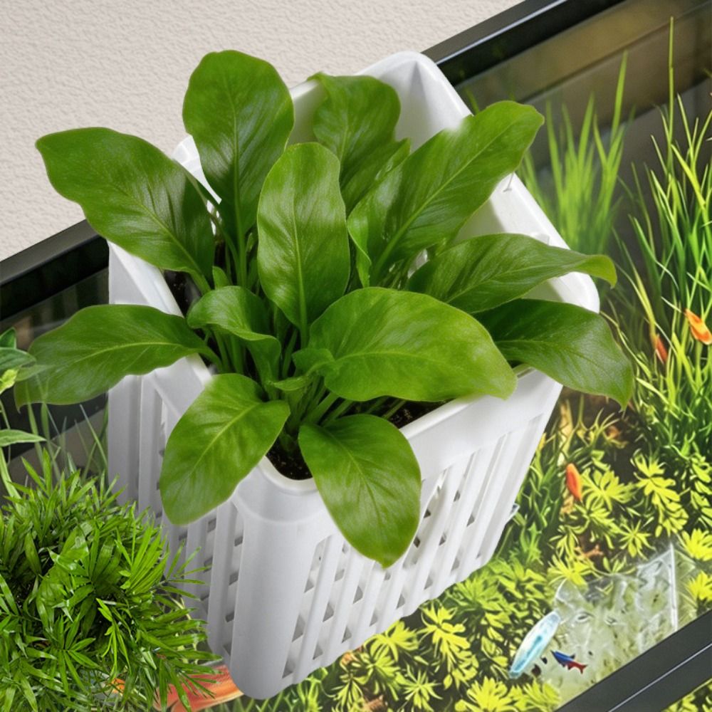 WEEKAQUA M300/M400/M450 D1 PRO - Aquarium Plants For Sale review and price
