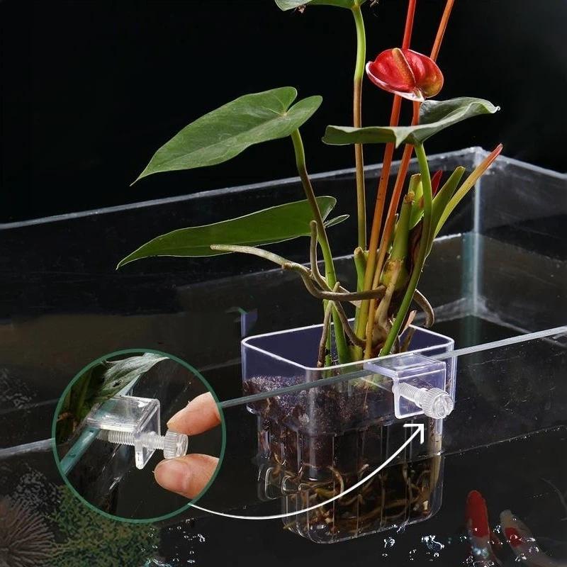Clear Hangable Aquarium Plant  - Aquarium Plant Easy To Grow review and price