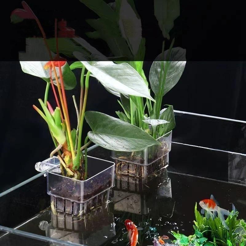 Clear Hangable Aquarium Plant  - Aquarium Plant Easy To Grow review and price