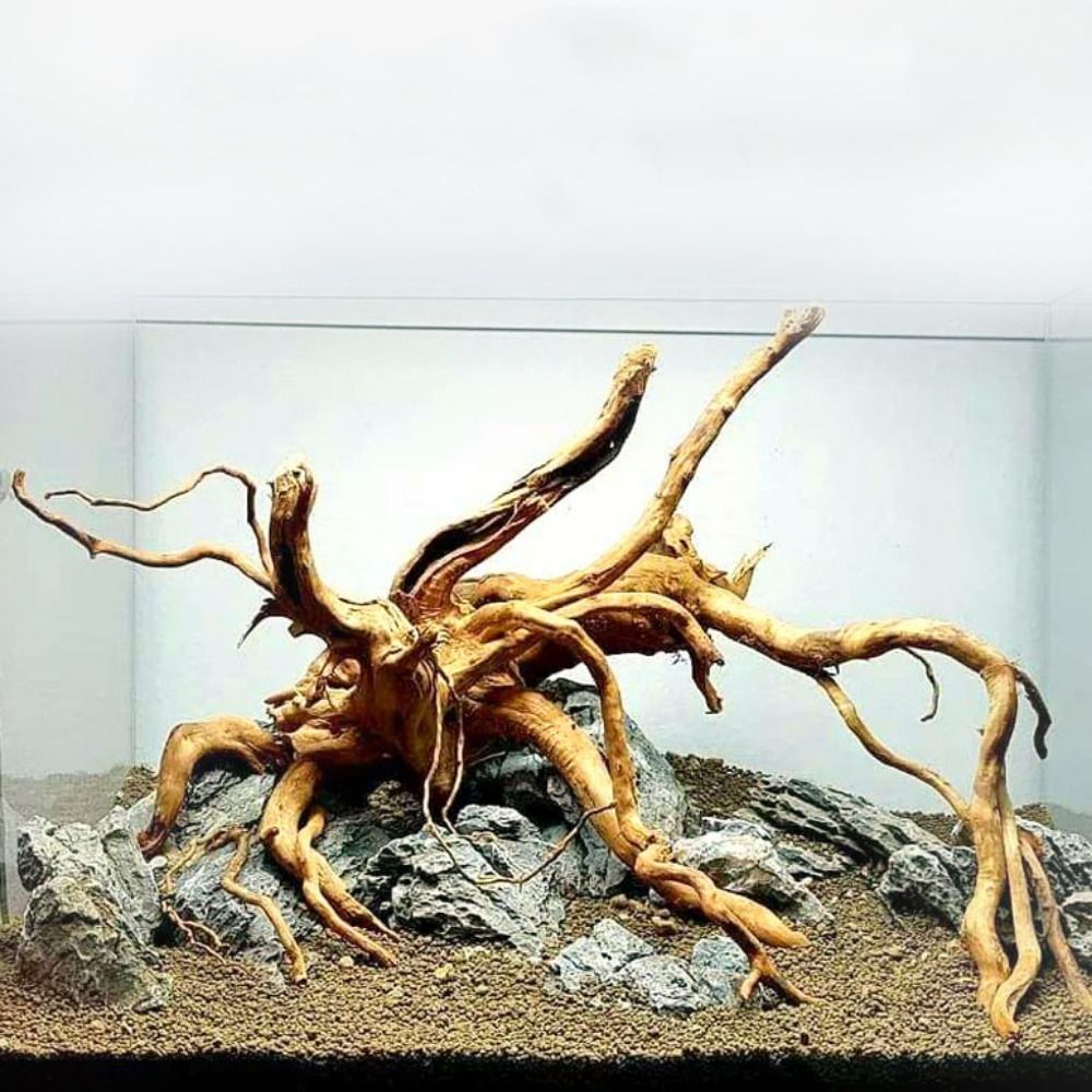 20-25CM Large Aquarium Driftwo - Aquarium Plant Roots review and price