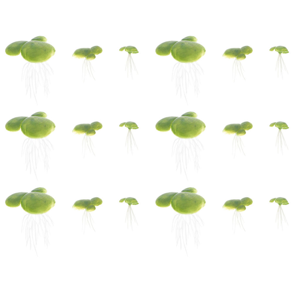 Aquarium Plants Freshwater Beg - Planted Aquarium For Beginners review and price