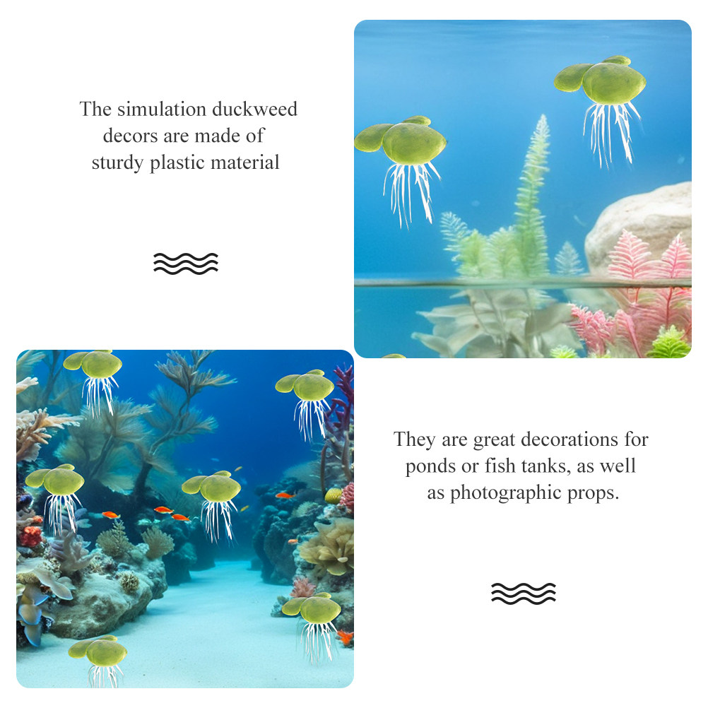 Aquarium Plants Freshwater Beg - Planted Aquarium For Beginners review and price