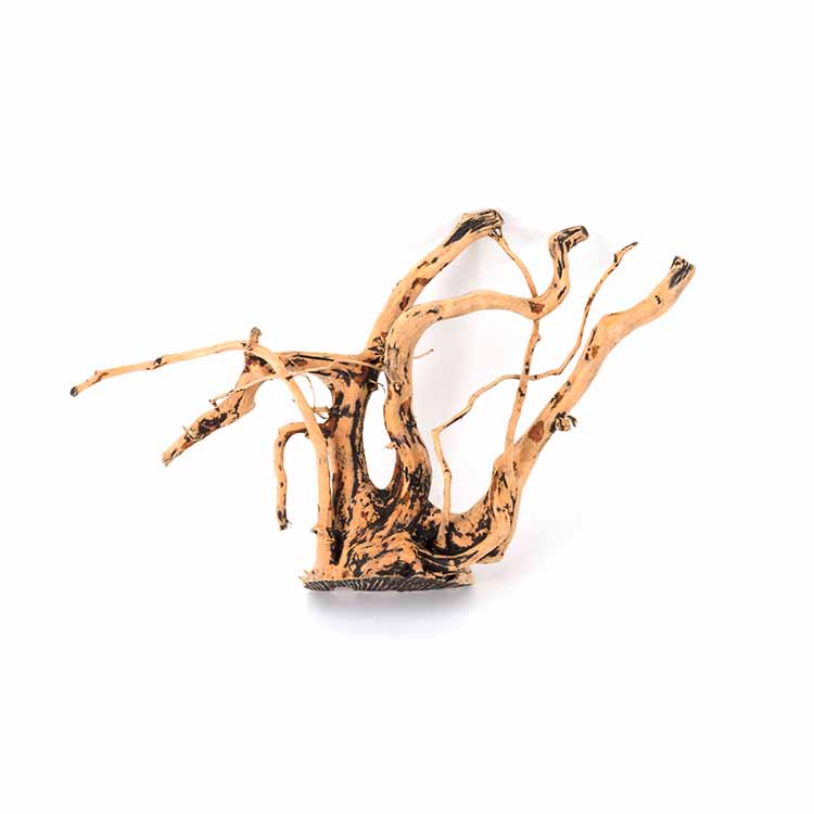 Wholesale Hot Sale Natural Dec - Aquarium Plants For Sale review and price