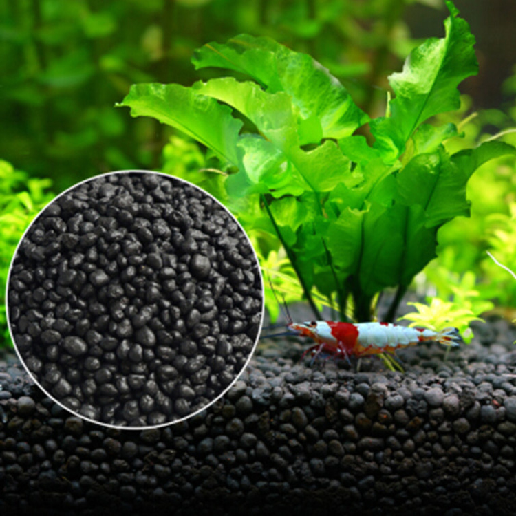 Aquarium Plant Seeds Soil Fish - Aquarium Planted Fish review and price