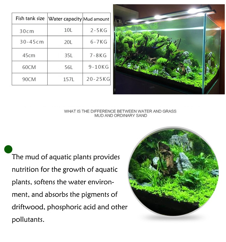 Aquarium Plant Seeds Soil Fish - Aquarium Planted Fish review and price