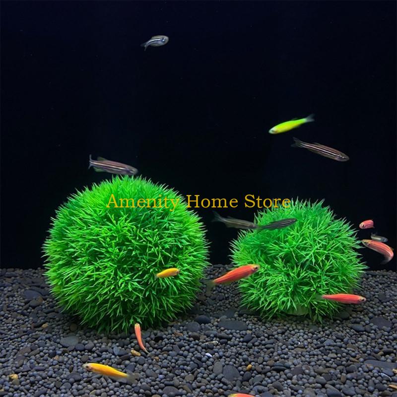 F26C Aquatic Plants Marimo for - Aquarium Plant Roots review and price