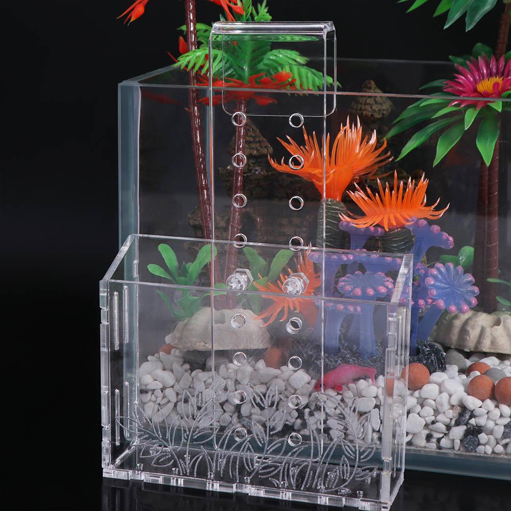 Wall Hanging Aquarium Plants C - Aquarium Planted Wall review and price