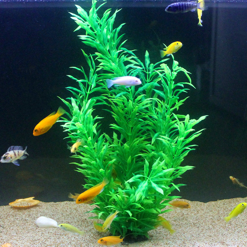 50CM Artificial Fish Tank Rare - Aquarium Planted Fish review and price