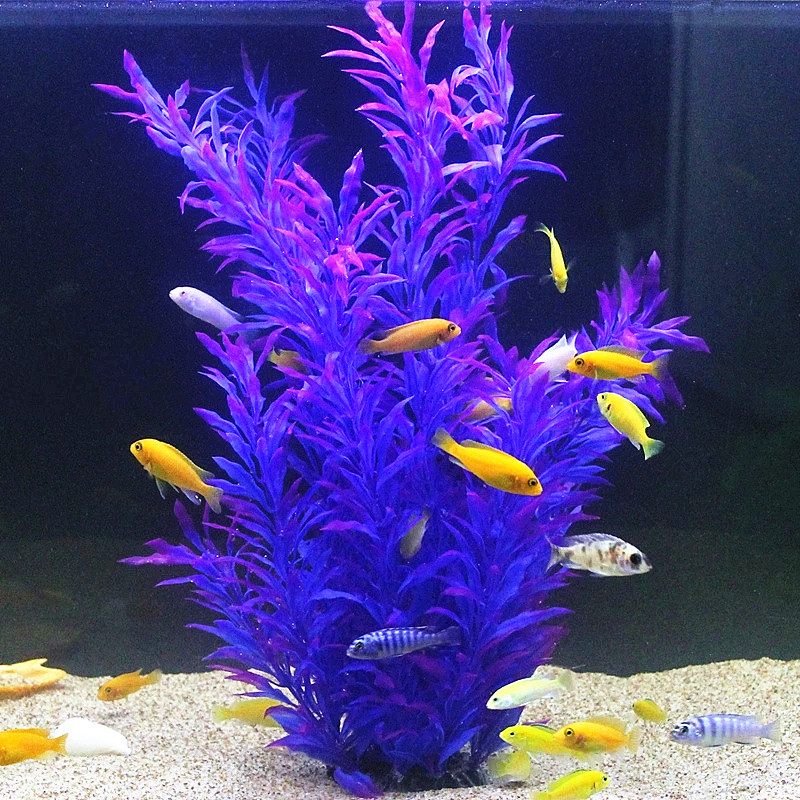 50CM Artificial Fish Tank Rare - Aquarium Planted Fish review and price