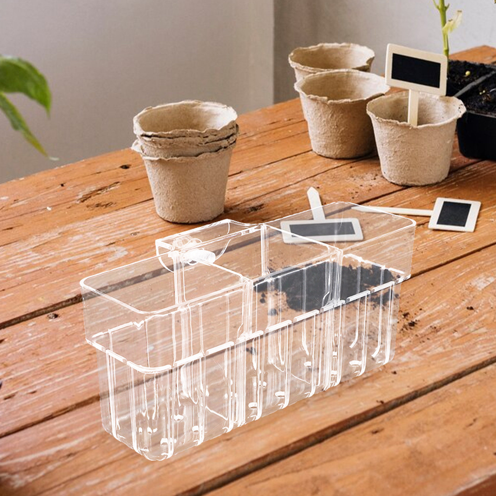 Three Compartment Clear Hydrop - Aquarium Planted Wall review and price