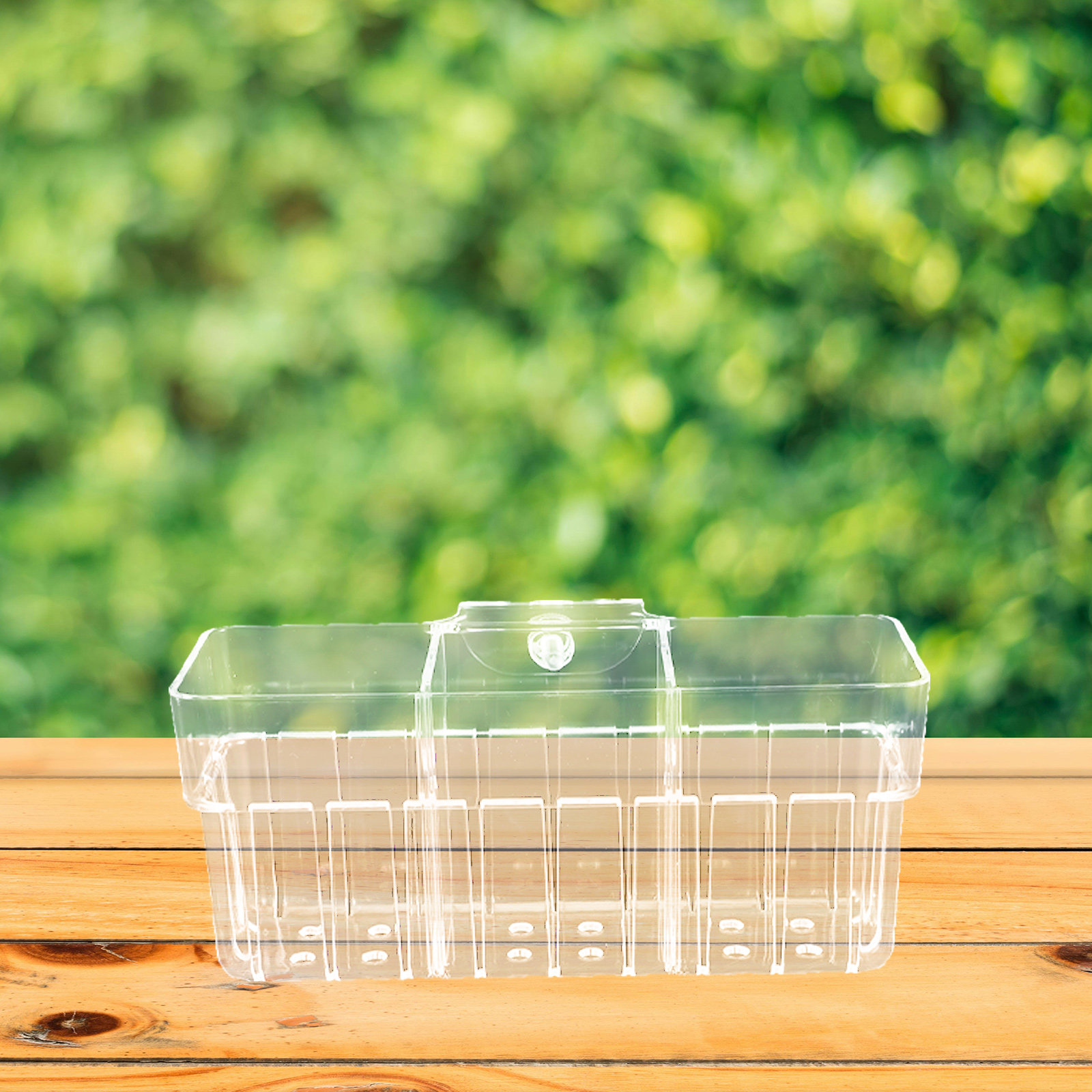 Three Compartment Clear Hydrop - Aquarium Planted Wall review and price