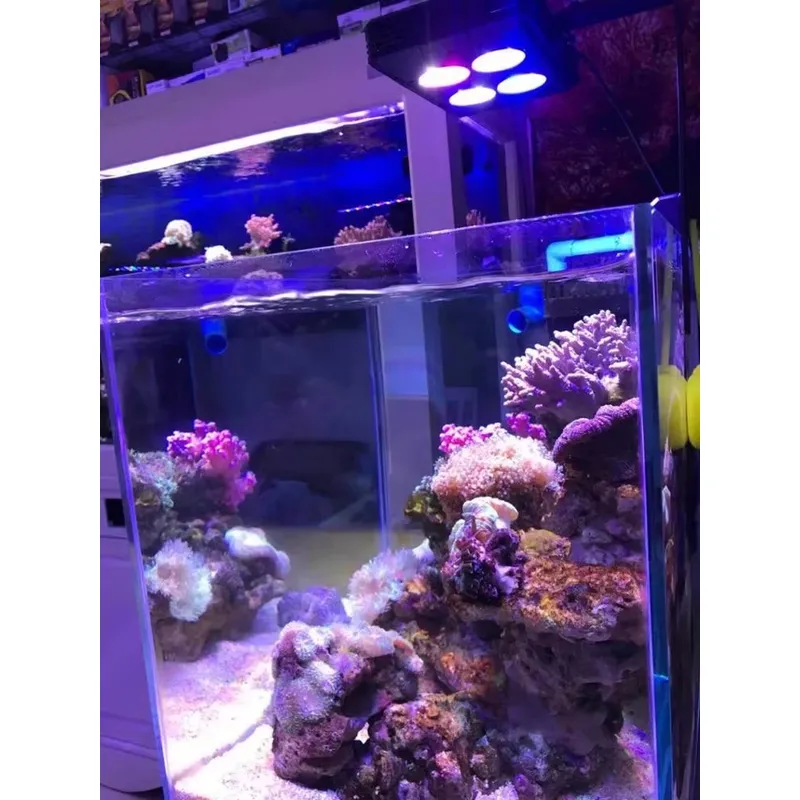 Gako A052 52w Hot Sale Aquariu - Aquarium Plants For Sale review and price
