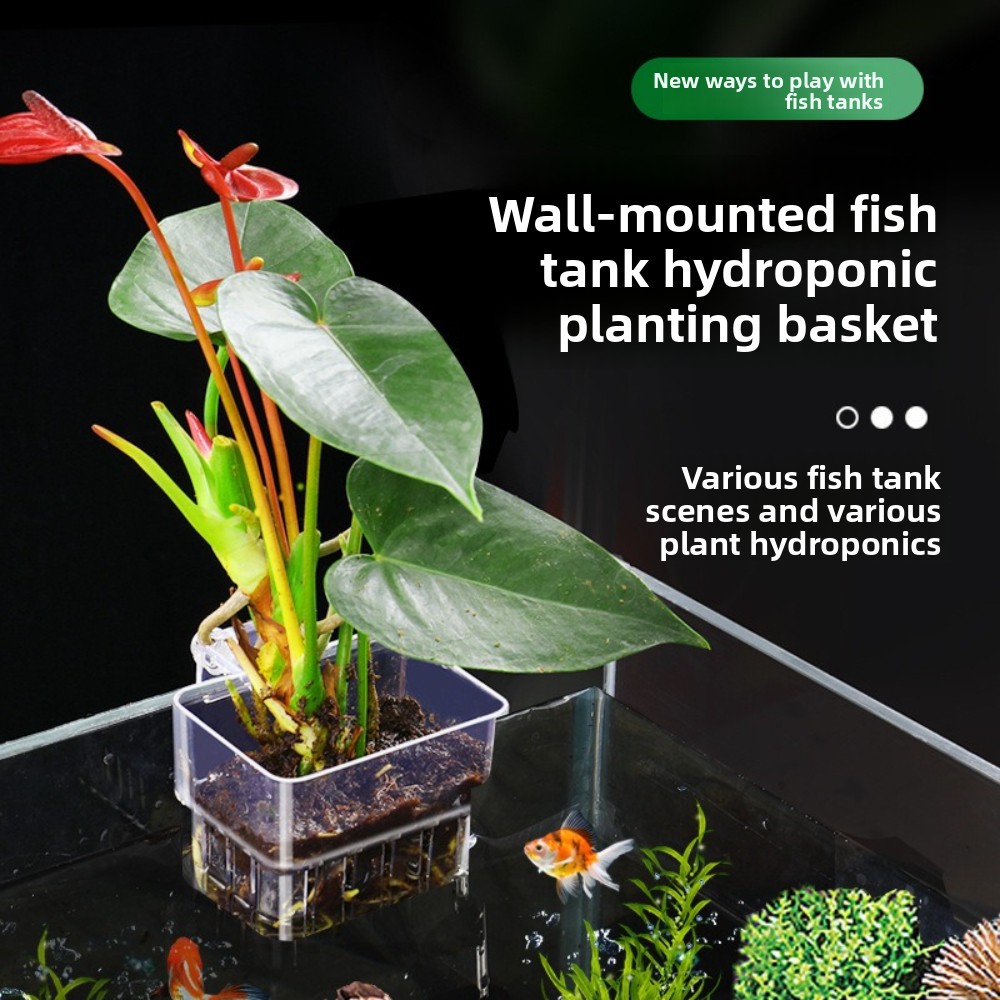 Aquarium Hydroponic Planting B - Aquarium Plant Grass review and price