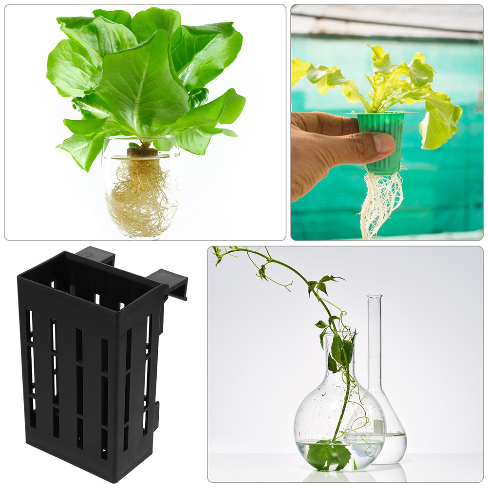 6Pcs Aquatic Plant Holder Plas - Aquarium Plant Roots review and price