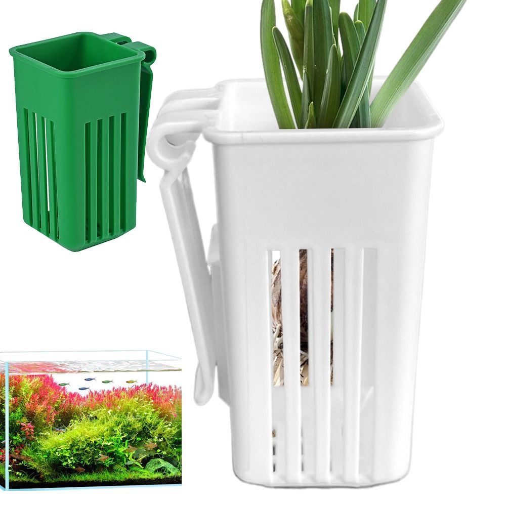 Plastic Aquarium Plant Basket  - Aquarium Plant Easy To Grow review and price