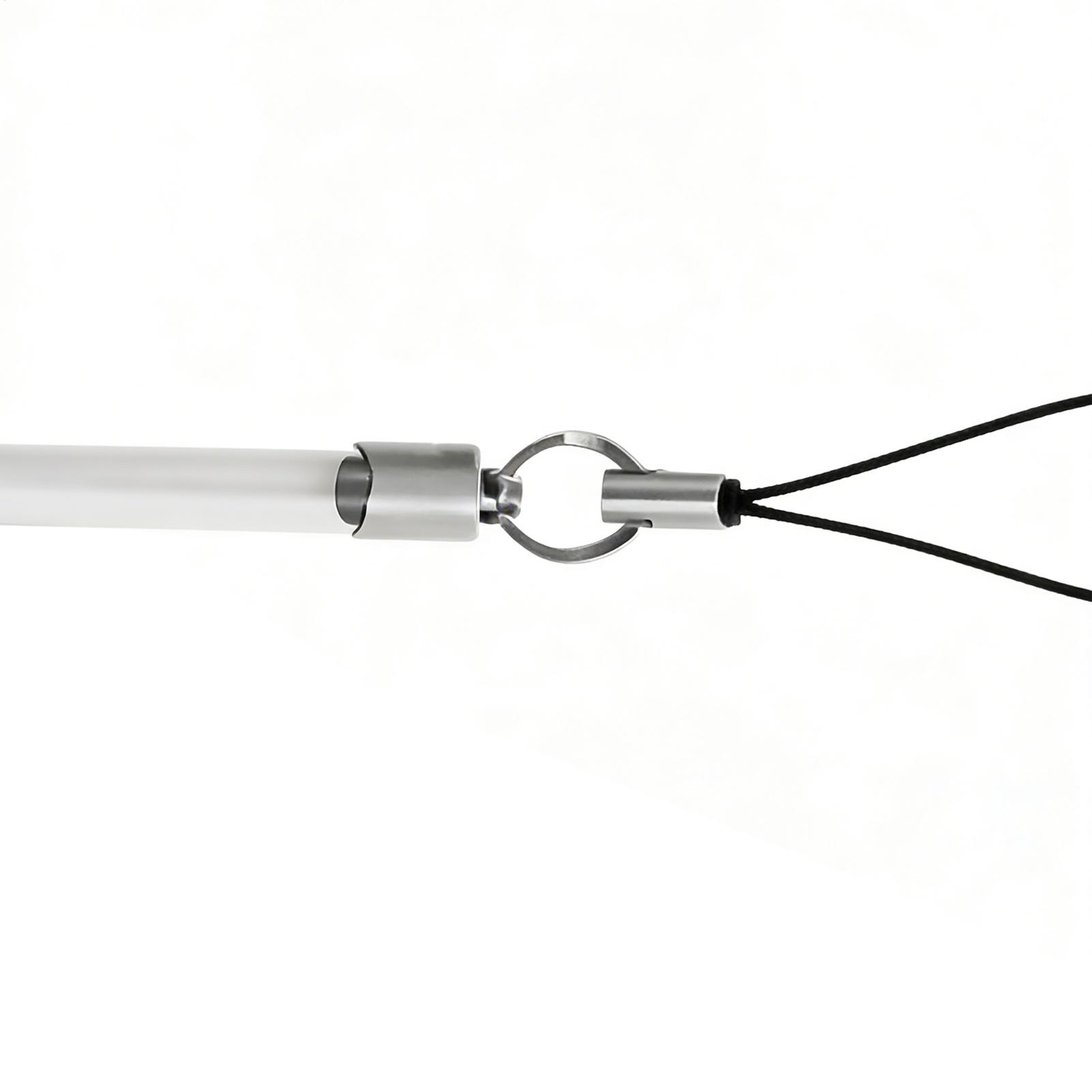 Fish Training Stick Realistic  - Planted Aquarium For Beginners review and price