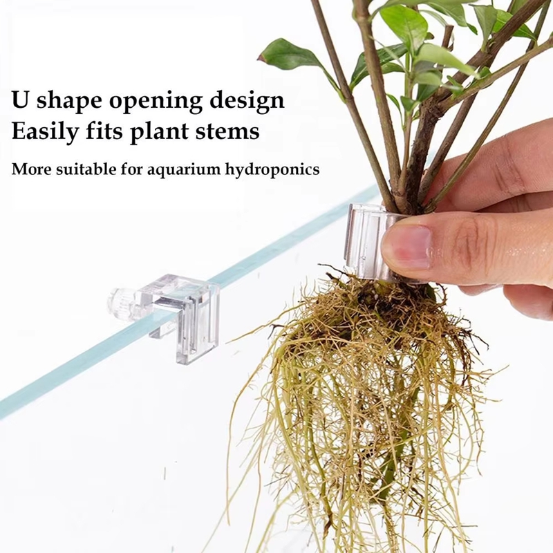 Hot Sale 6pcs Clear Aquarium P - Aquarium Plants For Sale review and price