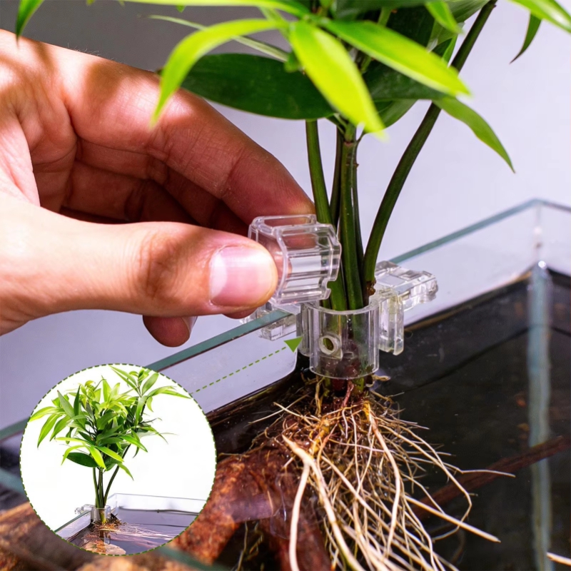 Hot Sale 6pcs Clear Aquarium P - Aquarium Plants For Sale review and price